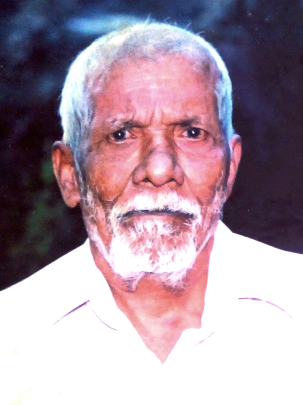 Pulikunnel Dhummini Varkey Chandanakkampara